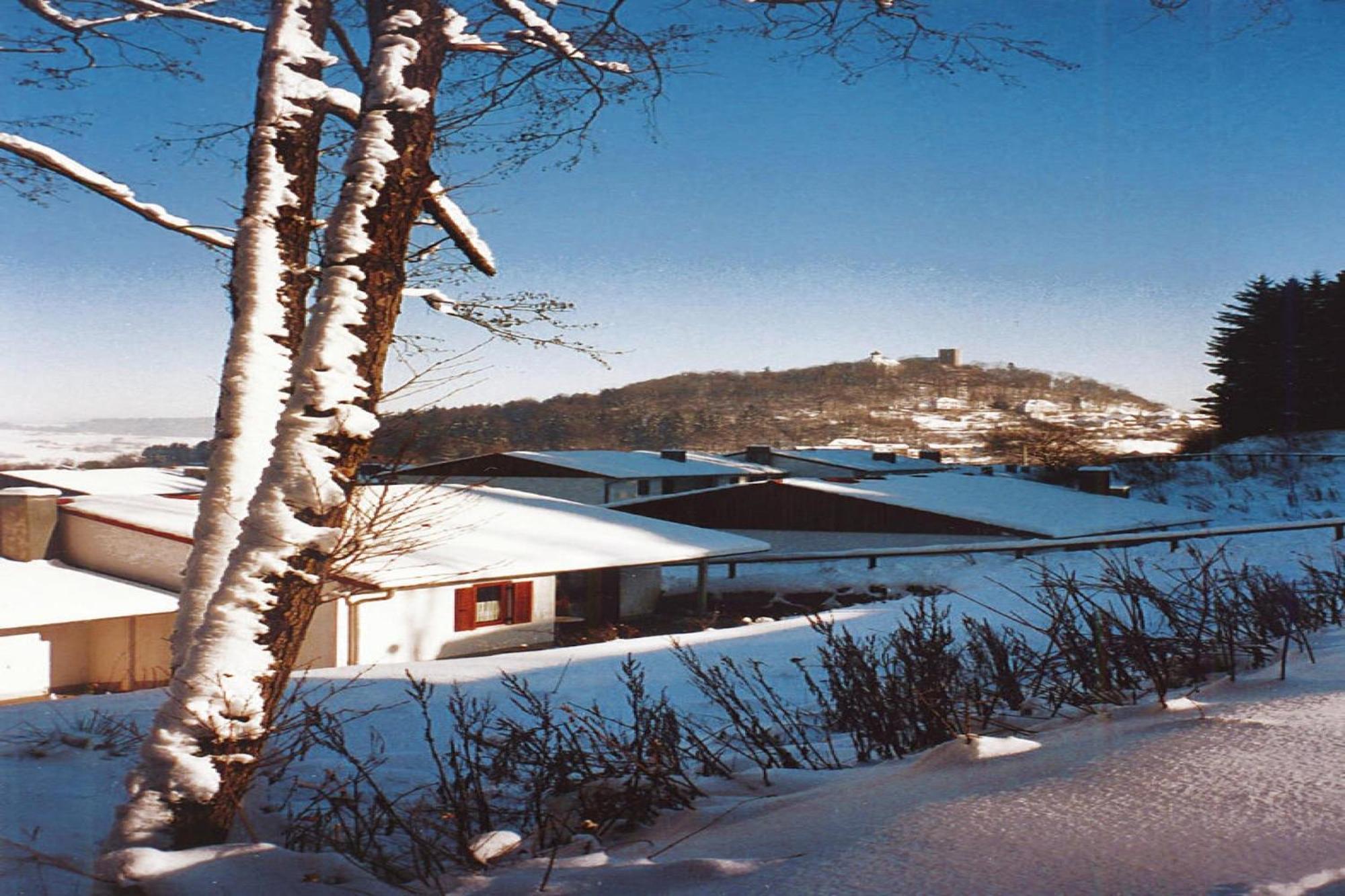 Ferienwohnung Im Ferienpark Falkenstein Falkenstein  المظهر الخارجي الصورة
